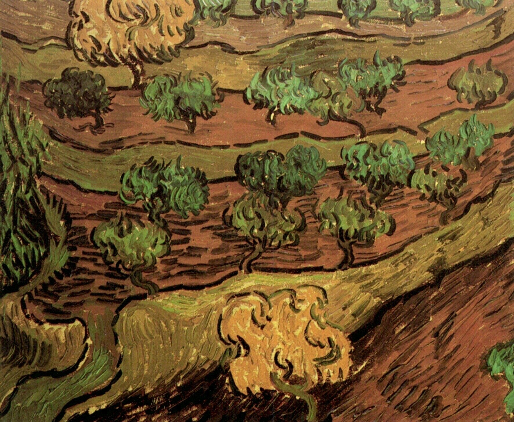  Ван Гог Оливковые деревья на склоне холма 